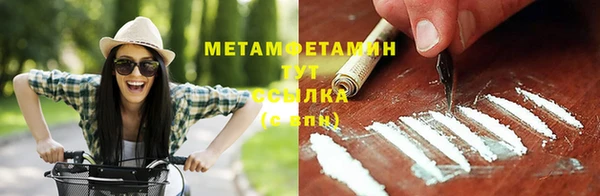 шишки Осташков
