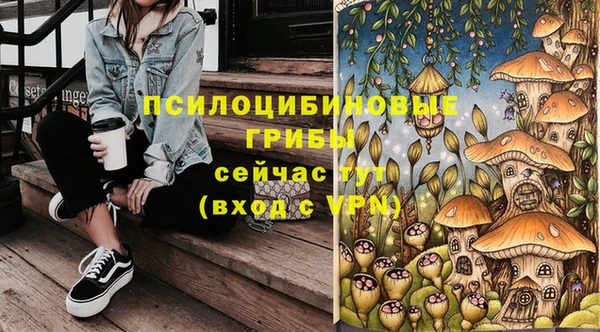 jwh Осинники
