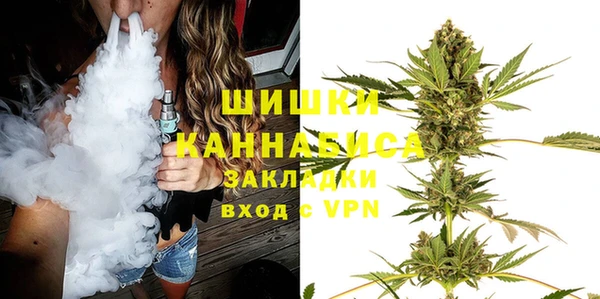 шишки Осташков