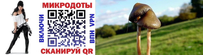 дарк нет наркотические препараты  Трёхгорный  Галлюциногенные грибы ЛСД 
