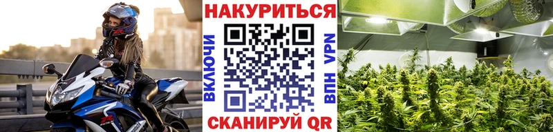 Бошки Шишки ГИДРОПОН наркота Трёхгорный